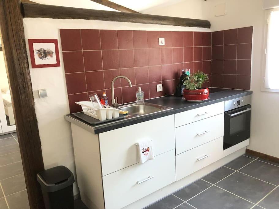 Logement Insolite Au Coeur D'Une Ecurie Arles Exterior photo