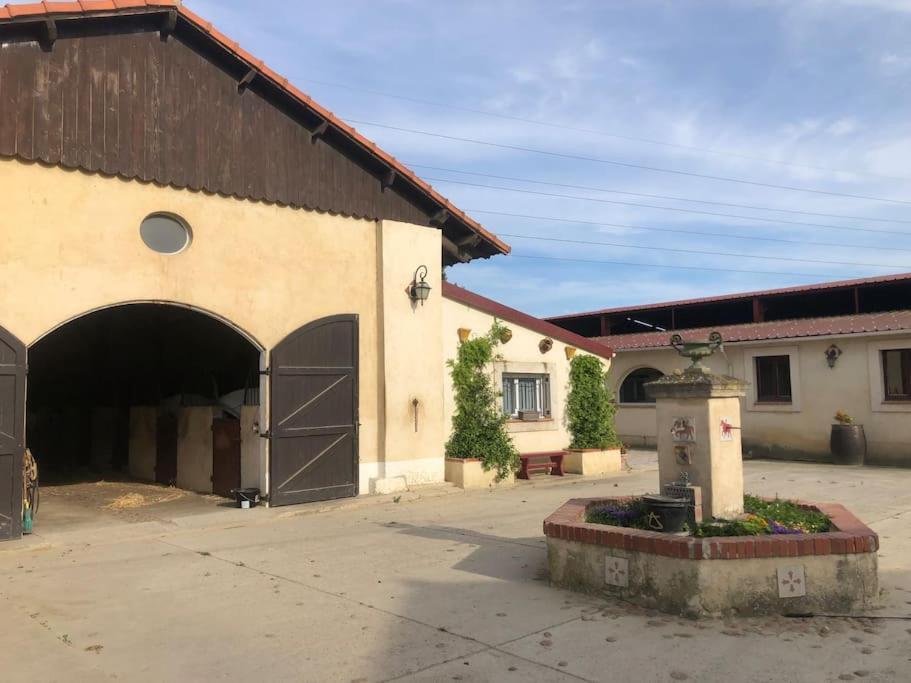Logement Insolite Au Coeur D'Une Ecurie Arles Exterior photo